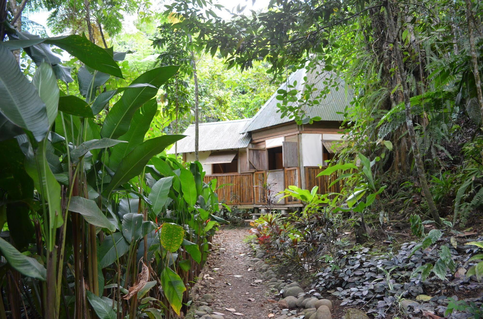 Willa Roots Jungle Retreat Marigot Zewnętrze zdjęcie