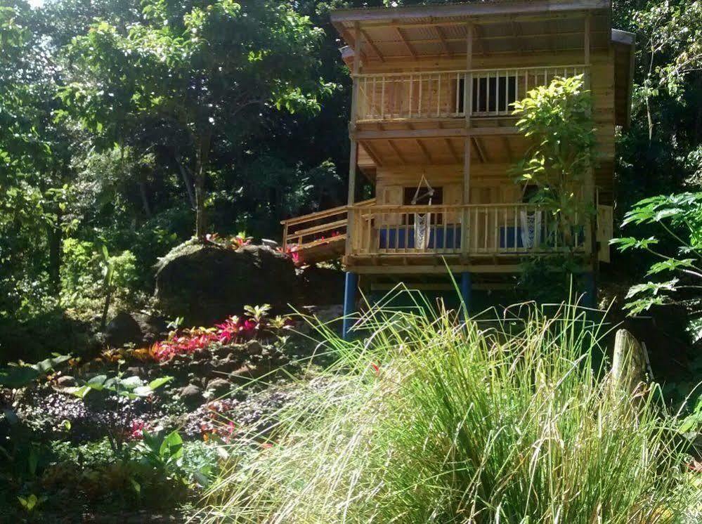 Willa Roots Jungle Retreat Marigot Zewnętrze zdjęcie
